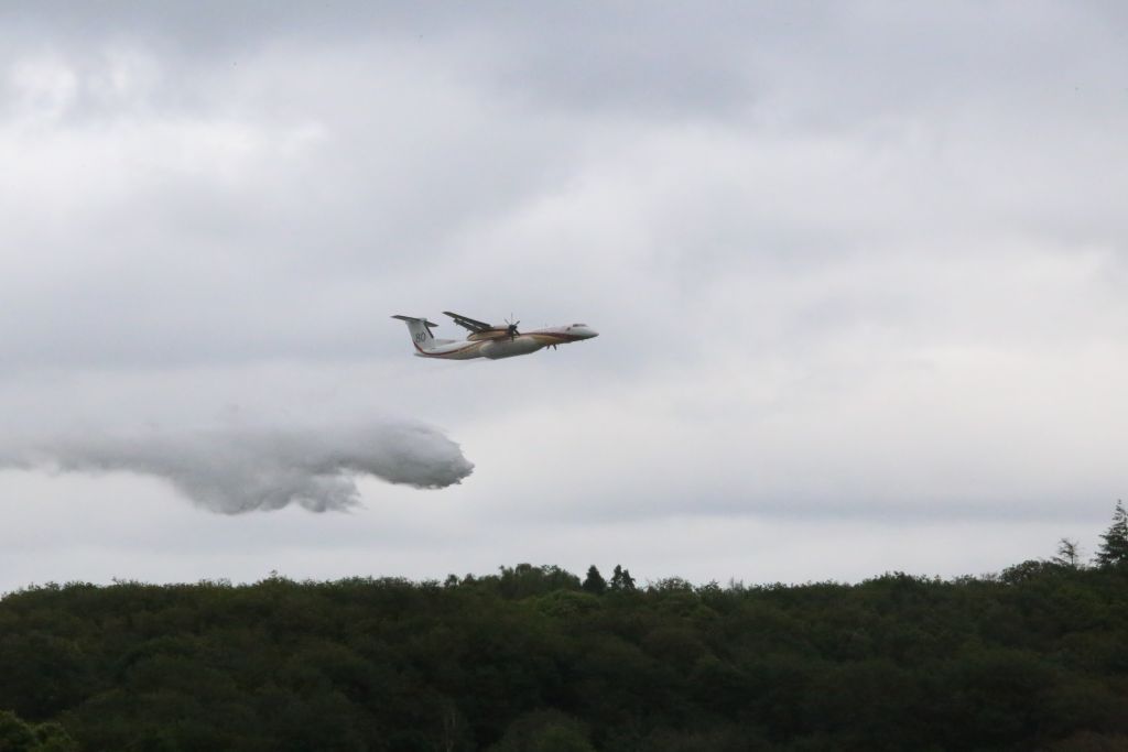 IMG_7422_1