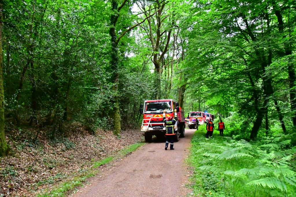 Manoeuvre FDF-06-03-2025_1328-Forêt de Paimpont