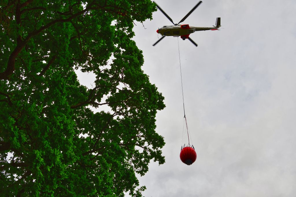 Manoeuvre FDF-06-03-2025_1363-Forêt de Paimpont